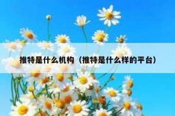 推特是什么机构（推特是什么样的平台）