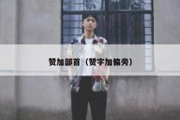 赞加部首（赞字加偏旁）
