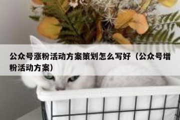 公众号涨粉活动方案策划怎么写好（公众号增粉活动方案）