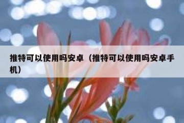 推特可以使用吗安卓（推特可以使用吗安卓手机）