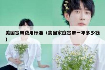 美国宽带费用标准（美国家庭宽带一年多少钱）