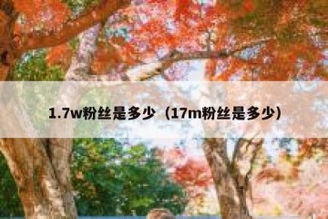 1.7w粉丝是多少（17m粉丝是多少）