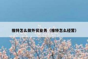 推特怎么做外贸业务（推特怎么经营）