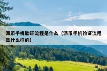 派币手机验证流程是什么（派币手机验证流程是什么样的）