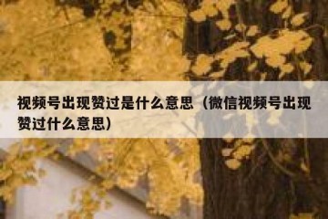 视频号出现赞过是什么意思（微信视频号出现赞过什么意思）