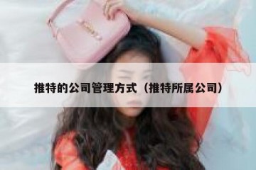 推特的公司管理方式（推特所属公司）
