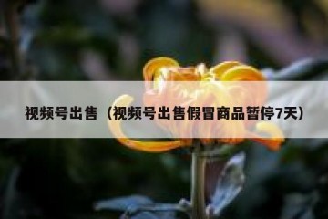 视频号出售（视频号出售假冒商品暂停7天）