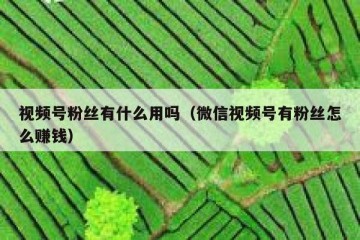 视频号粉丝有什么用吗（微信视频号有粉丝怎么赚钱）