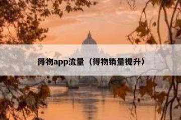 得物app流量（得物销量提升）