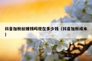 抖音加粉丝赚钱吗现在多少钱（抖音加粉成本）