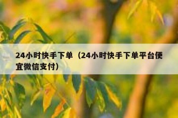 24小时快手下单（24小时快手下单平台便宜微信支付）