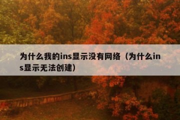 为什么我的ins显示没有网络（为什么ins显示无法创建）