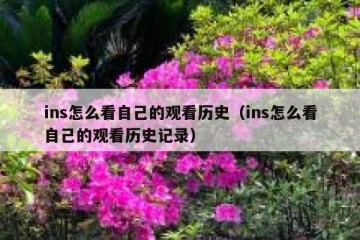 ins怎么看自己的观看历史（ins怎么看自己的观看历史记录）