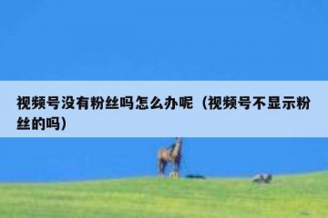 视频号没有粉丝吗怎么办呢（视频号不显示粉丝的吗）