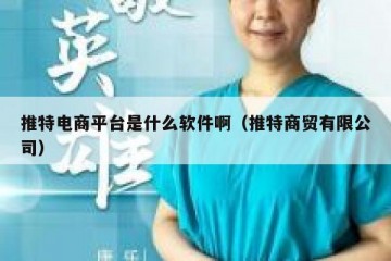 推特电商平台是什么软件啊（推特商贸有限公司）
