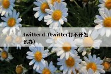 twitterd（twitter打不开怎么办）