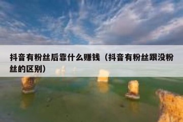 抖音有粉丝后靠什么赚钱（抖音有粉丝跟没粉丝的区别）