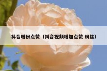 抖音增粉点赞（抖音视频增加点赞 粉丝）