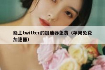 能上twitter的加速器免费（苹果免费加速器）