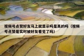 视频号点赞好友马上就显示吗是真的吗（视频号点赞是实时被好友看见了吗）
