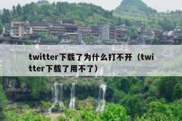twitter下载了为什么打不开（twitter下载了用不了）