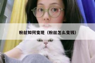 粉丝如何变现（粉丝怎么变钱）