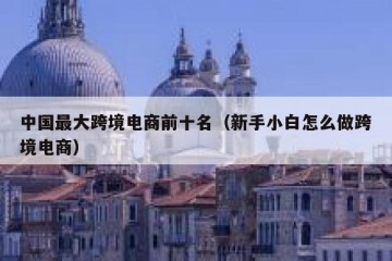 中国最大跨境电商前十名（新手小白怎么做跨境电商）