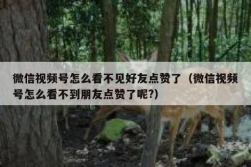 微信视频号怎么看不见好友点赞了（微信视频号怎么看不到朋友点赞了呢?）