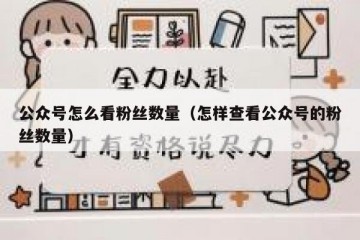 公众号怎么看粉丝数量（怎样查看公众号的粉丝数量）