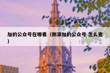 加的公众号在哪看（刚添加的公众号 怎么查）