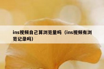 ins视频自己算浏览量吗（ins视频有浏览记录吗）