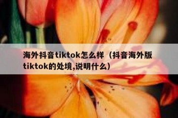 海外抖音tiktok怎么样（抖音海外版 tiktok的处境,说明什么）
