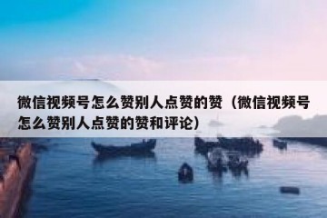 微信视频号怎么赞别人点赞的赞（微信视频号怎么赞别人点赞的赞和评论）