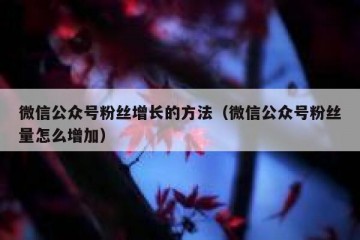 微信公众号粉丝增长的方法（微信公众号粉丝量怎么增加）