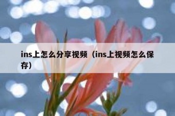 ins上怎么分享视频（ins上视频怎么保存）