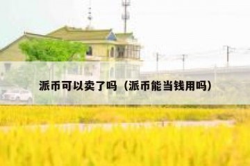 派币可以卖了吗（派币能当钱用吗）