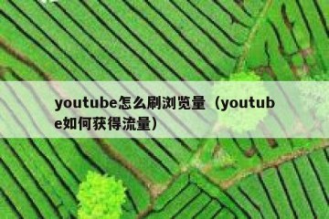 youtube怎么刷浏览量（youtube如何获得流量）