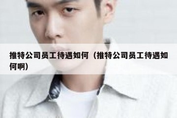 推特公司员工待遇如何（推特公司员工待遇如何啊）