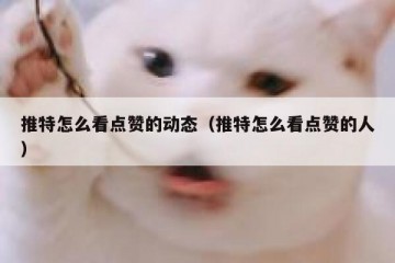 推特怎么看点赞的动态（推特怎么看点赞的人）