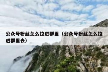 公众号粉丝怎么拉进群里（公众号粉丝怎么拉进群里去）
