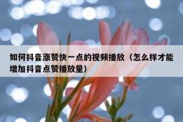 如何抖音涨赞快一点的视频播放（怎么样才能增加抖音点赞播放量）