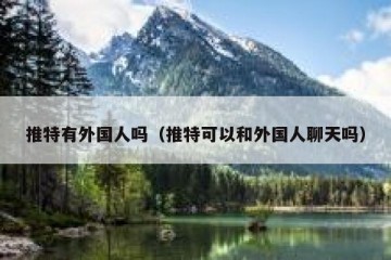 推特有外国人吗（推特可以和外国人聊天吗）