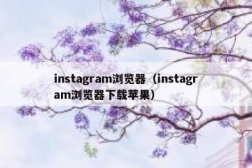 instagram浏览器（instagram浏览器下载苹果）