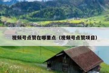 视频号点赞在哪里点（视频号点赞项目）