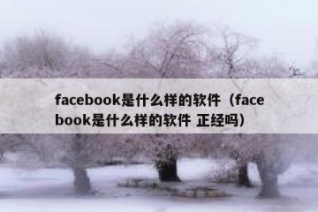 facebook是什么样的软件（facebook是什么样的软件 正经吗）