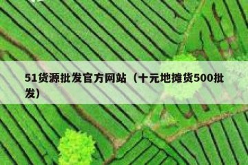 51货源批发官方网站（十元地摊货500批发）