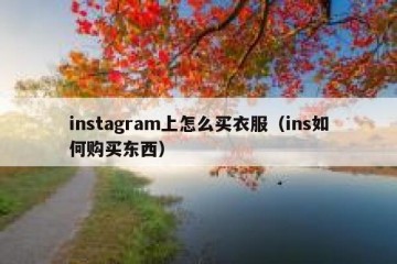 instagram上怎么买衣服（ins如何购买东西）
