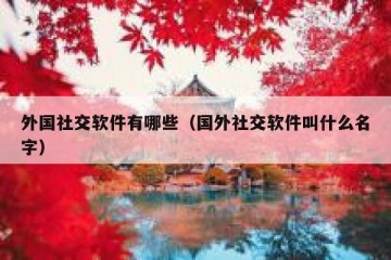 外国社交软件有哪些（国外社交软件叫什么名字）