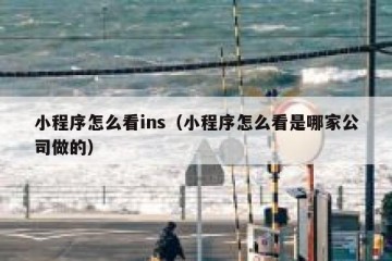 小程序怎么看ins（小程序怎么看是哪家公司做的）