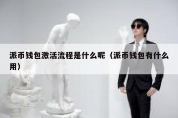 派币钱包激活流程是什么呢（派币钱包有什么用）